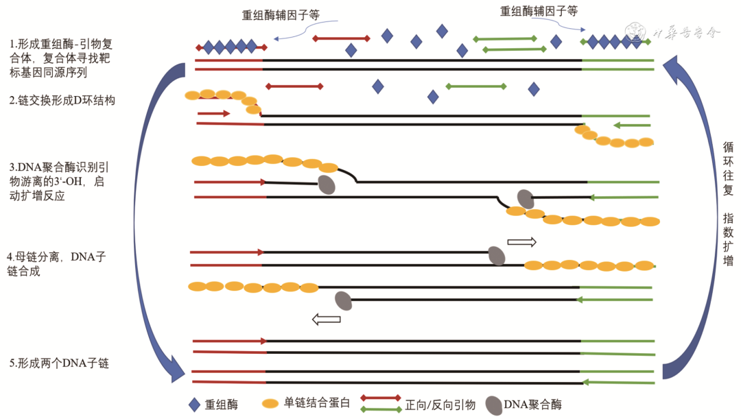 1669354759.png 圖片1.png